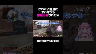 かわいい野良にヤバすぎる害悪行為されたw【APEX】#shorts