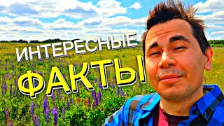 ИНТЕРЕСНЫЕ ФАКТЫ #2 | ЭЛВИС ПРЕСЛИ