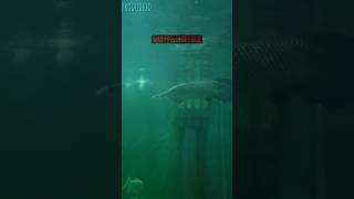 Arapaima & Alligator|Underwatertunnel| #arapaima #alligatorgar #shorts #shortfeed @PRODUDEXD