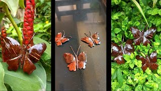 Coconut Shell Butterflies 🥰🥰🥰🥰