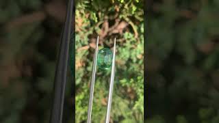 Натуральный Цаворит (Tsavorite) 3,5 ct  с вуалькой (отрицательные кристаллы. НЕ ТРЕЩИНА).