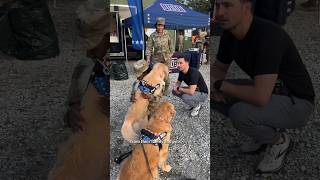 Dogs visit service members in Poland