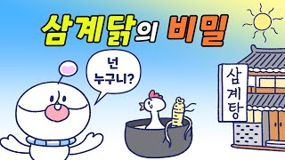 삼계탕에 들어가는 닭은 어떤 닭일까?