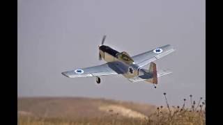 Israel Air Force      P-51