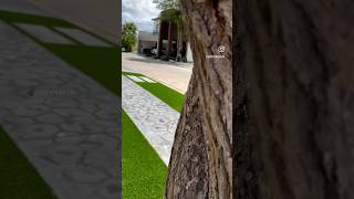 🌿🏠 Embelleciendo jardines #jardines #youtube #shorts #short #parati #mexico #garden #fyp #facebook