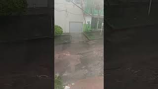 Regreso la lluvia ⛈️ nuevamente, Suscríbete al canal.