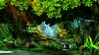 Beautiful green forest video background for video Maker