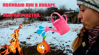 Поливаю лук в январе. Убираем участок. В Ставрополе пошел снег.