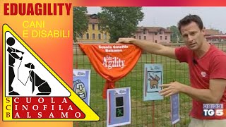 EDUAGILITY 🐶 COME I CANI AIUTANO I DISABILI DIVERTENDOSI