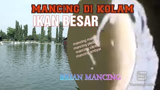 MANCING DI KOLAM IKAN BESAR