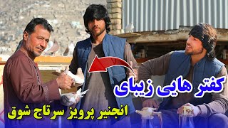 کفتر هایی زیبایی انجنیر پرویز سرتاج شوق/057Afghan Shawqi