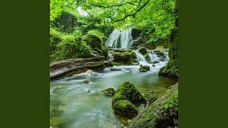 Blissful Voices by the Stream