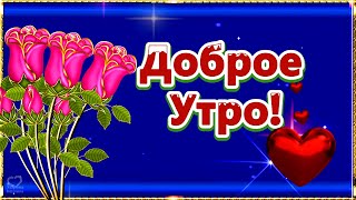 💖Доброе Утро! Хорошего дня!💖Нет на свете ничего дороже теплоты!💖 Родных людей, внимательных друзей!💌