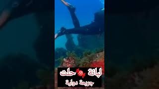 الكاميرات ولبانة كشفو خطة الشيطان #قضية  #كاميرات_المراقبة  #اختفاء  #قضايا  #قضايا_تم_حلها  #محلولة