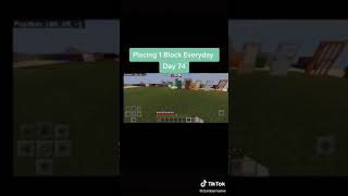 placing 1 block everyday day 74