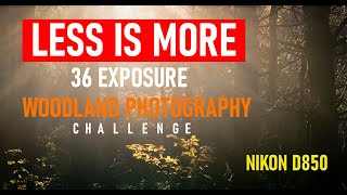 Less is more 36 Exposures Woodland Photography Challenge #woodlandphotography #nikond850