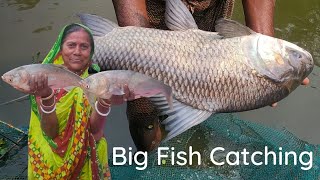 Big Fish Catching using Net in village pond | Net Fishing Video 2023