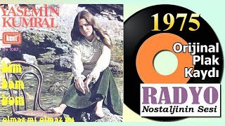 Yasemin Kumral - Olmaz mı Olmaz mı (1975)