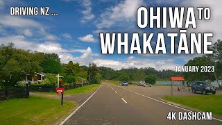 Driving New Zealand: Ohiwa to Whakatāne 4k