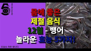 몸에 좋은 제철 음식 12월 - 뱅어 놀라운 효능 5가지!