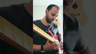 Oxygen - Lincoln Brewster #tagima #stratocaster #instrumental #worship #shorts #louvor #solo #cover