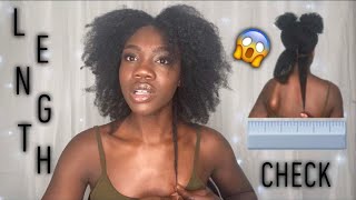 Length Check 2 Ways ft. My Bald Spot | HEATLESS METHOD