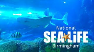 National Sea Life Sanctuary Vlog 2019