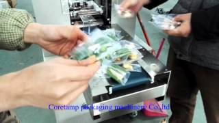 Horizontal onion/food ingredients/garlic packaging machine