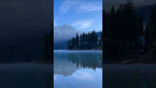 Alone in the Mountains #nature #relaxing #naturesounds #forest #birds #snow #valley #peace