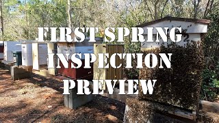 First Spring Inspection Preview | #colesfarmnc #jacksonvillenc #beekeeping