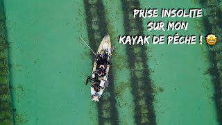 Je PÊCHE une espèce INATTENDUE à bord de mon KAYAK de pêche en MER !!