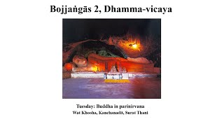 Bojjhaṅgā 2, Dhamma Vicaya, investigation of dhammas