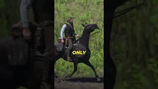 The Gypsy Cob is a SLEEPER Horse in RDR2...