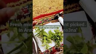 Fresh Mint Peppermint | Private Backyard Farm | Diriyah Riyadh