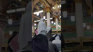 Riyadhul Jannah#Al Masjid an-Nabawi#Short@ADIL EYE VLOGS.