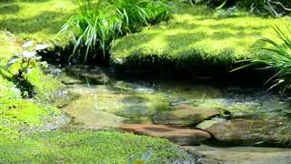 Sound of nature, Small fountain | Nature Sounds - A Small Spring