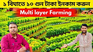 ১ বিঘা জমিতে ১০ গুণ টাকা ইনকাম করুন। এক বিঘাতে ইনকাম ১ লক্ষেরও বেশি। multi layer farming.