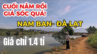 Đất ven Đà Lạt| QUÁ SỐC khi 3 mảnh đất trung tâm thị trấn Nam Ban-Lâm Hà view hồ giá chỉ 1.4 tỷ ?