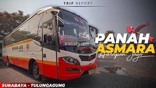 JALUR KEJAM, PARKIR CUMA 2 MENIT 😭 | Trip Report Harapan Jaya Panah Asmara (Surabaya - Tulungagung)