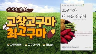 고구마 고구마 효능 및 보관법, 고구마 씻는법, 고구마 건강하게 먹는법