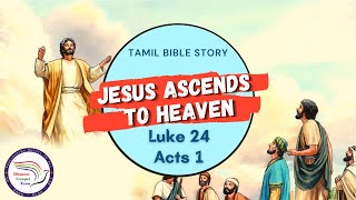 Jesus ascends to heaven | இயேசு பரலோகத்துக்கு எடுத்துக்கொள்ளப்படுதல் | Luke 24, Acts 1 | Bible Story