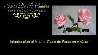 Introduccion MASTER CLASS ROSA HIPER REALISTA PASTA DE GOMA