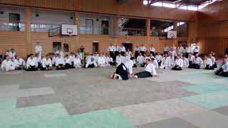 Yavor sensei - Ryo ashi dori