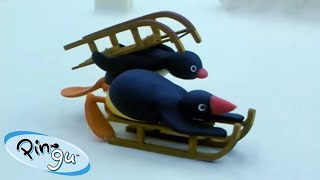 Sledding With Pingu! 🐧 | Pingu - Official Channel | Cartoons For Kids