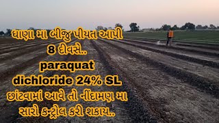 ધાણા ની ખેતી || coriander farming || dhana nu vavetar kariya bad a kam karvu  jaruri chhe...