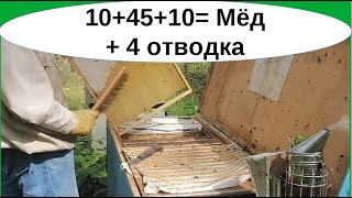 Отбор июльского мёда, главный взяток около 45кг. Плюс 10кг июнь. Плюс 10 кг октябрь. Плюс 4 отводка