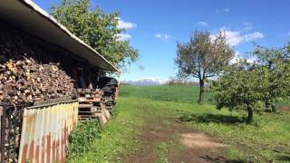 Camminata Tra Le Contrade San Zeno