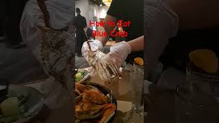 The ULTIMATE Blue Crab Eating Tutorial (How To, What To, Why To)