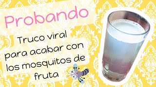 Probando: Truco casero viral para acabar con los mosquitos de fruta 🍇🍈 como se hace? sirve?