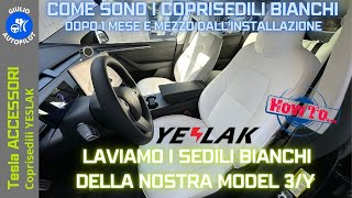 YESLAK - Laviamo i SEDILI BIANCHI della Tesla Model 3/Y e vediamo se tornano come nuovi